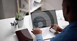 African American Web Developer Programmer