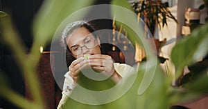 African American woman owner an ornamental garden to check the plants in a green house for sell. Portrait of charming