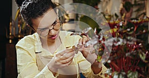 African American woman owner an ornamental garden to check the plants in a green house for sell. Portrait of charming