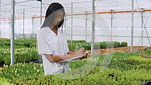 African American young girl in a white shirt examines the condition of plant seedlings in a greenhouse and makes notes