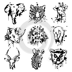 African animal lemur elephant leopard giraffe lion Flamingo antelope and Zebra