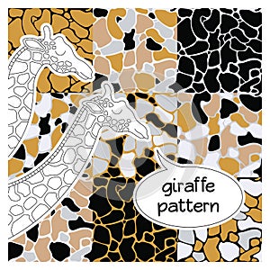 African animal pattern 5