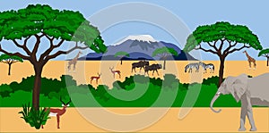 African animals in african scenery