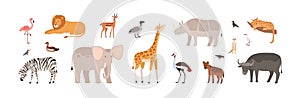 African animals, birds set. Wild jungle fauna. Cute tropical giraffe, elephant, buffalo, lion, flamingo, rhino and zebra