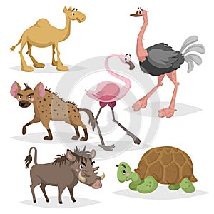 African animals cartoon set. Camel, big african turtle, flamingo, hyena, warthog and ostrich. Zoo wildlife collection. Vector illu photo