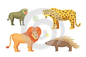 African animals cartoon vector set. safari isolated illustration