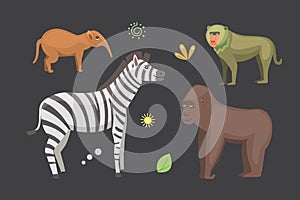 African animals cartoon vector set. zebra, hyena, gorila and outhers.