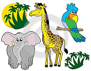 African animals collection 3