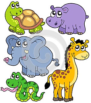 African animals collection 4