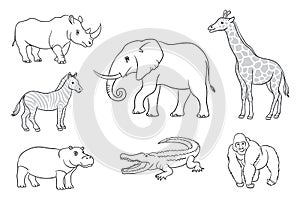 African animals in contours