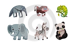 African Animals with Elephant and Panda Vector Set