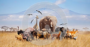 African animals giraffe, lion, elephant and others