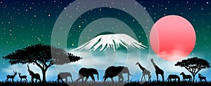 African animals at night against the background of the starry sky