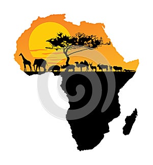 African animals over map of Africa. Safari sunset.