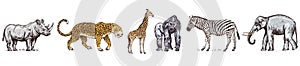 African animals. Rhinoceros Elephant Giraffe Hippopotamus Leopard Hyena Western gorilla Wild zebra. Engraved hand drawn