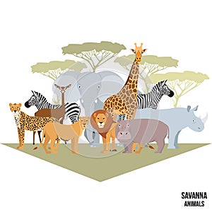 African animals of savanna elephant, rhino, giraffe, cheetah, zebra, lion, hippo isolated cartoon vector illustration