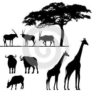 African animals, silhouettes