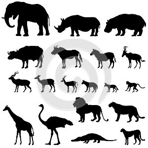 African animals silhouettes set. Livestock animals of tropical zone