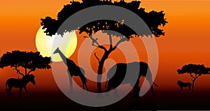 African animals in sunset