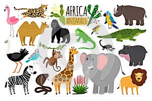 African animals. Various wildlife animals of Africa, vector monkey or marmoset and leopard, parrot and rhinoceros photo