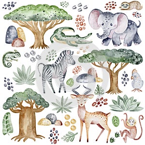 African animals watercolor safari nursery.