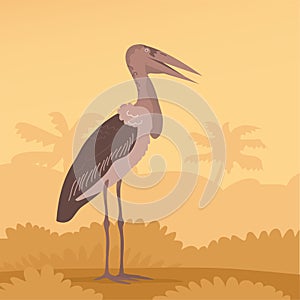 African bird stork marabou on a wildlife background