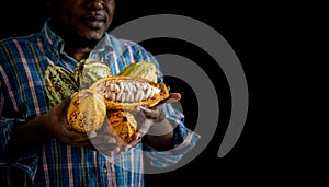 African black skin man famer holding and showing many fresh cocoa On black background photo