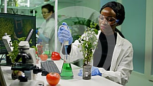 African botanist researcher taking genetic solution from test tube