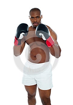 African boxer in an aggressive pose