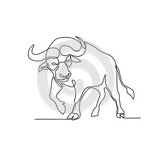 African Buffalo Continuous Line photo