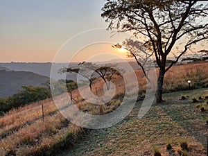 African Bush Sunset Durban South Africa