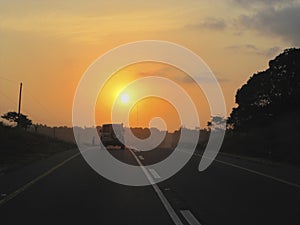 African bush, trees and road