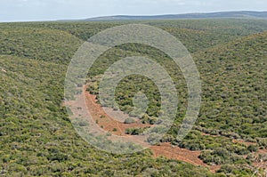 African bushveld panorama with wild animal tracks on the ground