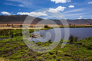 African car safari in the Ngorongoro area