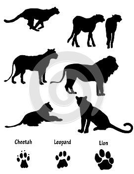 African cats illustrated silhouettes