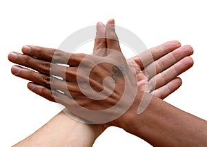 African and Caucasian hand united