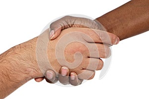 African and caucasian male shaking hands