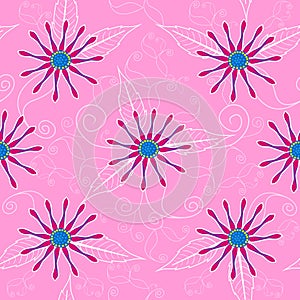 African daisy flower