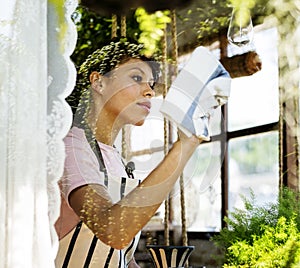 African Descent Woman Cleaning Wiping Shop Glass