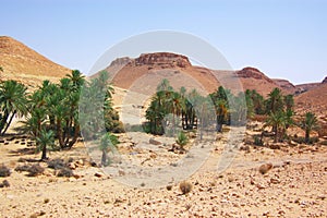 Desierto 