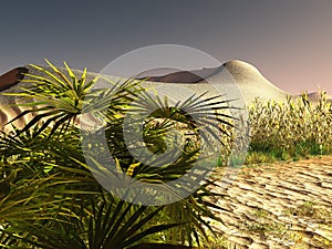 African desert with lavish and lively plants 3d rendering