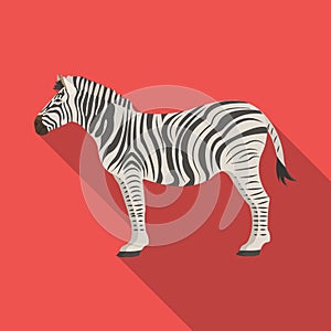 African, desert zebra. Wild cloven-hoofed animal, zebra single icon in flat style vector symbol stock illustration web. photo