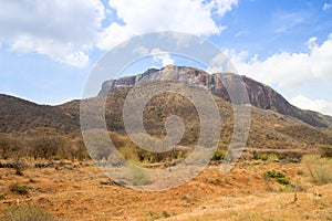 African dry hot savanna with dried plants and mountains