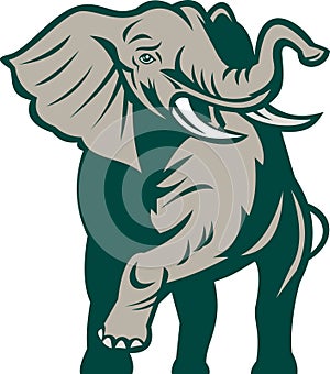 African elephant charging