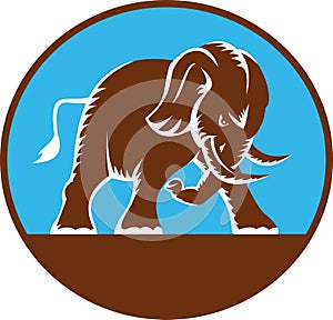 African elephant charging