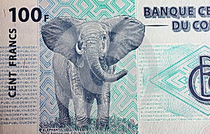 African elephant on Congo 100 Francs currency banknote