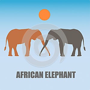 African elephant logo safari
