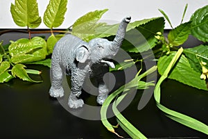 African elephant raised trunk, children`s toy