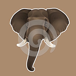 African elephant sticker