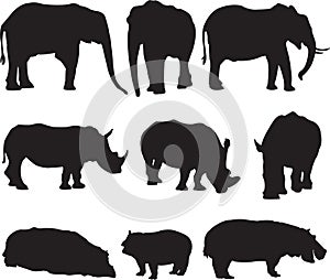 African elephant,white rhinoceros and hippo silhouette contour